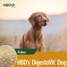 HBD’s® DigestoVit® Dog