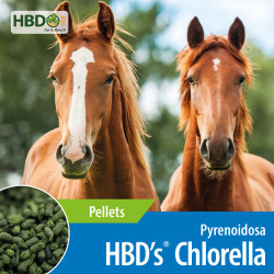 HBD’s® Chlorella Pyrenoidosa